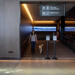 A handler walks with their service animal after practicing going through TSA at Paine Field in Everett, Washington on Saturday, June 24, 2023. (Annie Barker / The Herald)
