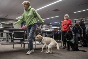 Kim Rosales sets their items on the security belt and moves forward in line with their service animal Sabrina to practice going through TSA at Paine Field in Everett, Washington on Saturday, June 24, 2023. (Annie Barker / The Herald)