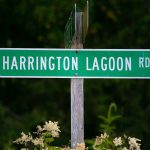 Harrington Lagoon Road runs through the Harrington Lagoon neighborhood on June 22, 2023, in Coupeville, Washington. (Ryan Berry / The Herald)