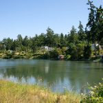 Houses are nestled on the hillside above Harrington Lagoon, downhill from a water well that for over a year has tested positive for PFAS on June 22, 2023, in Coupeville, Washington. (Ryan Berry / The Herald)