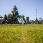 An overgrown playground sits empty on the Sauk-Suiattle Reservation on Tuesday, June 6, 2023 in Darrington, Washington. (Olivia Vanni / The Herald)