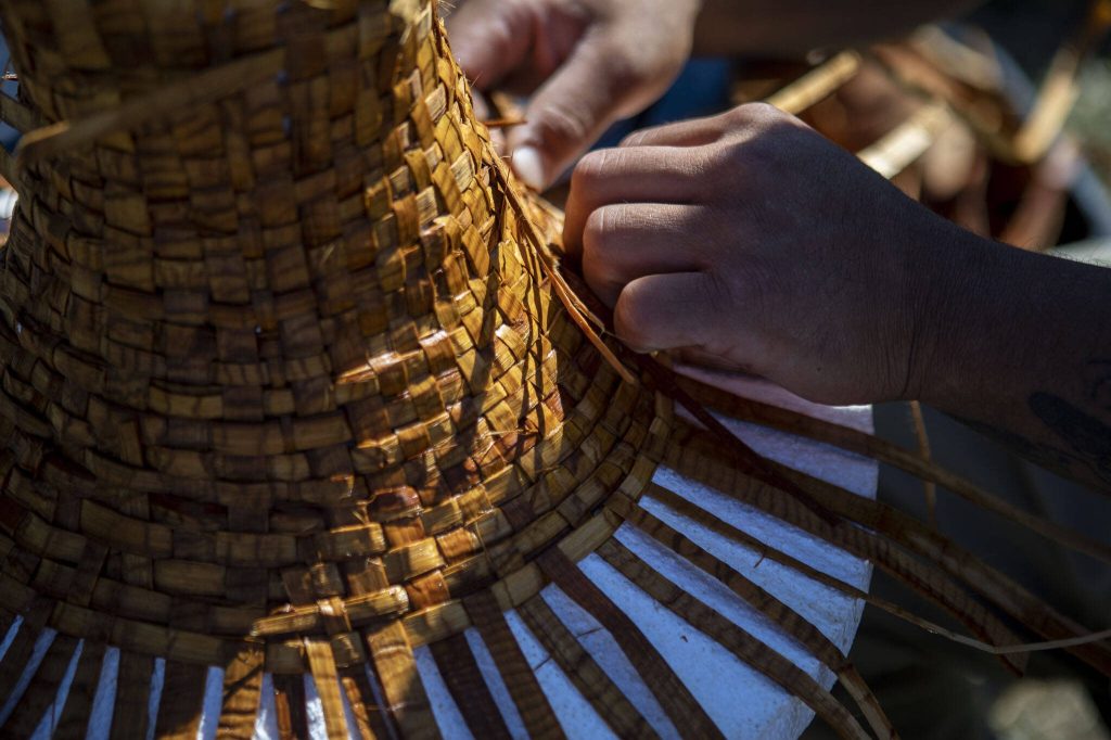 Hilario Ridout, 34, of the Quinalt tribe, weaves a hat from cedar strands during the 2023 Washington Tribes Canoe Journey in Bellingham, Washington on Sunday, July 23, 2023. (Annie Barker / The Herald)