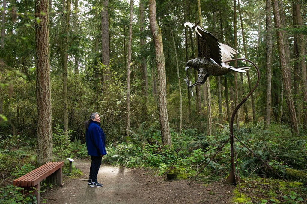 A hiker takes a moment to look at Attacking Eagle by Greg Neal at Price Sculpture Forest in Coupeville, Washington. Ryan Berry / The Herald photo