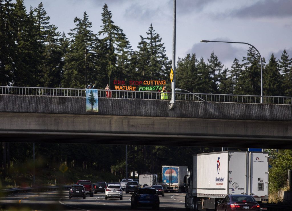 People hold a banner protesting for forest protection on the 112th Street I-5 overpass on Monday, June 26, 2023 in Everett, Washington. (Olivia Vanni / The Herald)