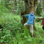 Carly Lloyd, left, shows volunteers how to calculate the diameter of trees. (Photo provided by Julie Titone)