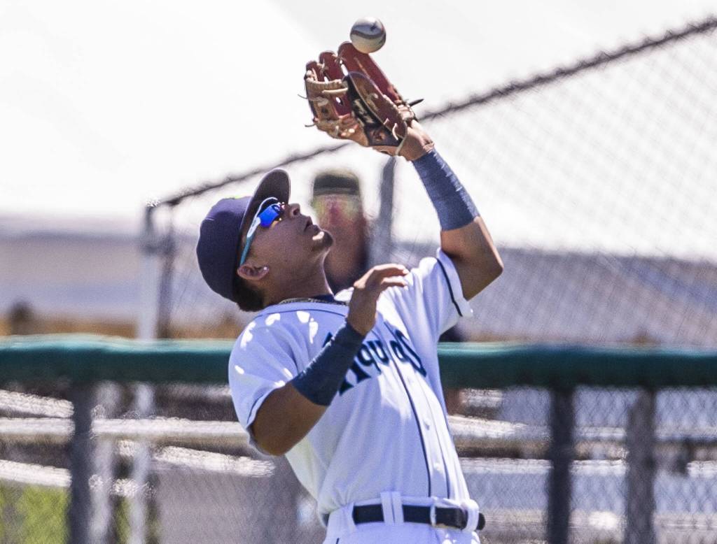 AquaSoxs Axel Sanchez makes a catch during the game against the Tri-City Dust Devils on Wednesday, July 19, 2023 in Everett, Washington. (Olivia Vanni / The Herald)