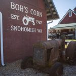 A tractor sits next to barns at Bobs Corn and Pumpkin Farm in Snohomish, Washington on Thursday, July 27, 2023. (Annie Barker / The Herald)