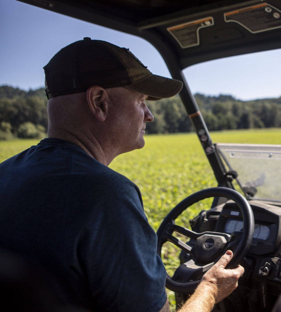 Bob Ricci drives a four-by-four at Bobs Corn and Pumpkin Farm in Snohomish, Washington on Thursday, July 27, 2023. (Annie Barker / The Herald)