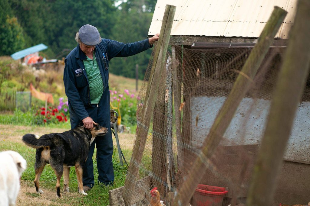 Gary Duffner pets Goose, his sons dog, while standing near the chicken coop on Friday, August 25, 2023, in Snohomish, Washington. (Ryan Berry / The Herald)