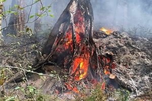 The Huckleberry Flats Fire north of Darrington seen August 24, 2023. (Mt. Baker-Snoqualmie National Forest)