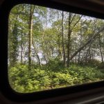 The scenery rushes by as the Amtrak Cascades train makes its way to Portland, Oregon. (Annie Barker / The Herald)