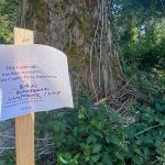 A sign explains the nearby area was sprayed with glyphosate and 2,4-D on Aug. 9, 2023. (TaLeah Van Sistine / The Herald)