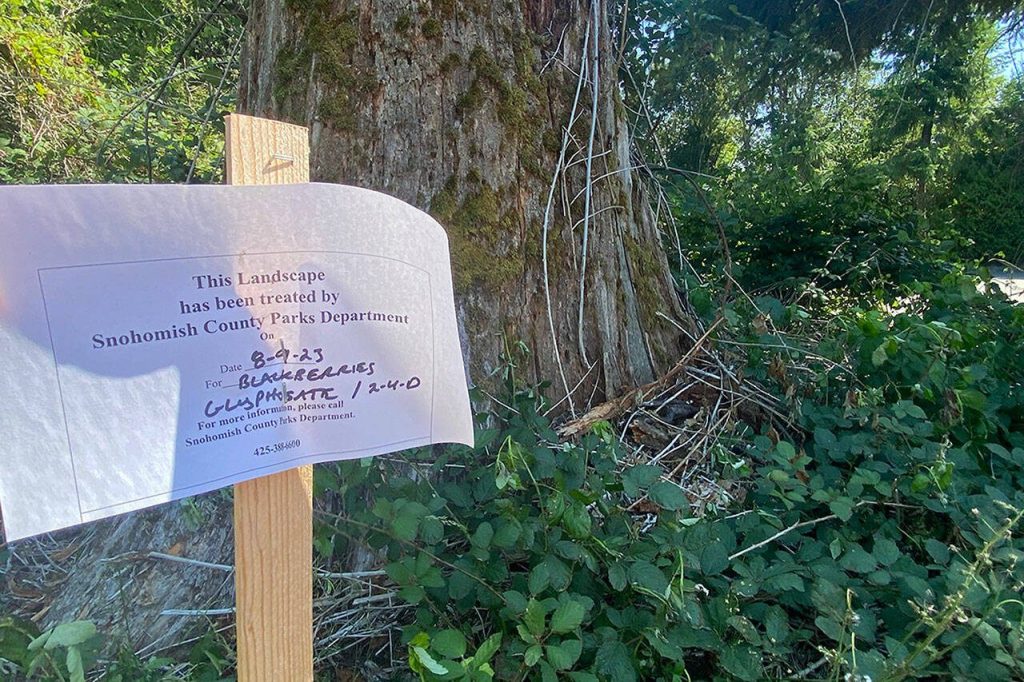 A sign explains the nearby area was sprayed with glyphosate and 2,4-D on Aug. 9, 2023. (TaLeah Van Sistine / The Herald)