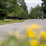 A girl walks her dog along a path lined with dandelions at Willis D. Tucker Community Park on Monday, Sept. 11, 2023, in Snohomish, Washington. (Olivia Vanni / The Herald)
