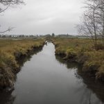 A view of the Snohomish County portion of Spencer Island on Monday, Aug. 28, 2023 in Everett, Washington. (Olivia Vanni / The Herald)