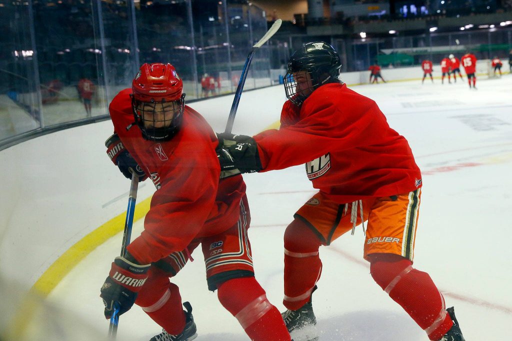 Silvertips players scramble for the puck during the first day of training camp on Thursday, August 31, 2023, at Angel of the Winds Arena in Everett, Washington. (Ryan Berry / The Herald)