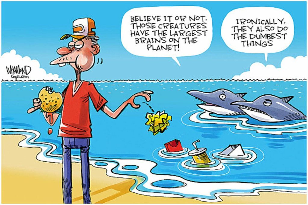 toon