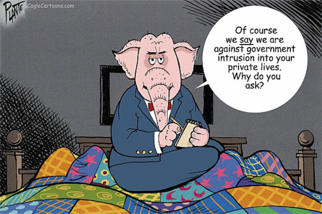 Elephant in the Room, Republican Party, GOP, RNC, anti-woke, LBGTQ+, privacy, gay, straight, anti-birth control