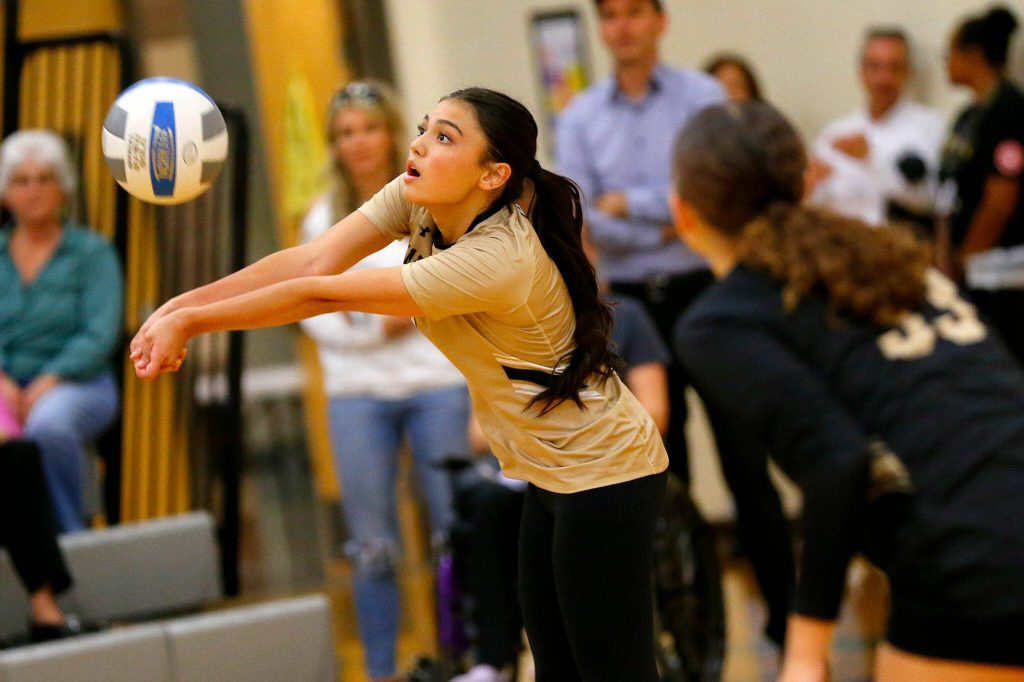 Lynnwood libero Jordyn Higa receives a serve against Jackson during a volleyball match Thursday, Sept. 14, 2023, at Lynnwood High School in Bothell, Washington. (Ryan Berry / The Herald)