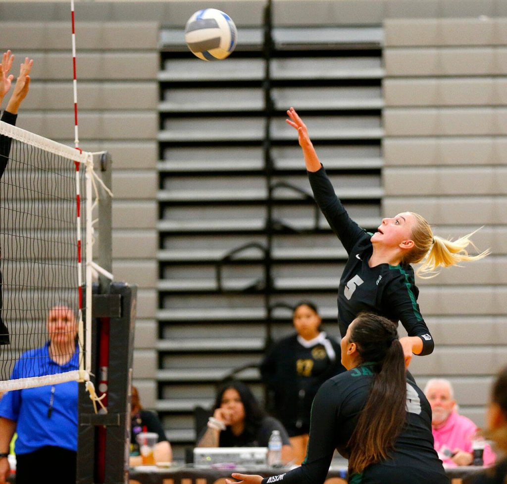 Jackson captain Ellie Stark sends the ball over the net against Lynnwood during a volleyball match Thursday, Sept. 14, 2023, at Lynnwood High School in Bothell, Washington. (Ryan Berry / The Herald)