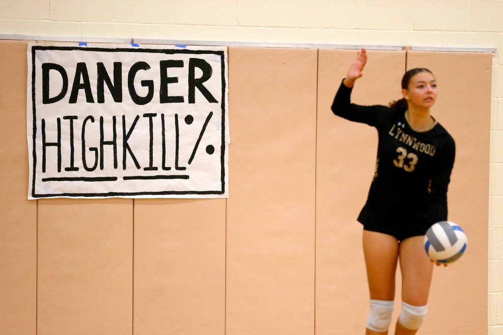 Lynnwoods Sammy Holmer steps up to serve against Jackson during a volleyball match Thursday, Sept. 14, 2023, at Lynnwood High School in Bothell, Washington. (Ryan Berry / The Herald)