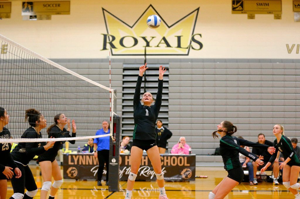 Jackson setter Addison Eastwood sets the ball up for a teammate against Lynnwood during a volleyball match Thursday, Sept. 14, 2023, at Lynnwood High School in Bothell, Washington. (Ryan Berry / The Herald)