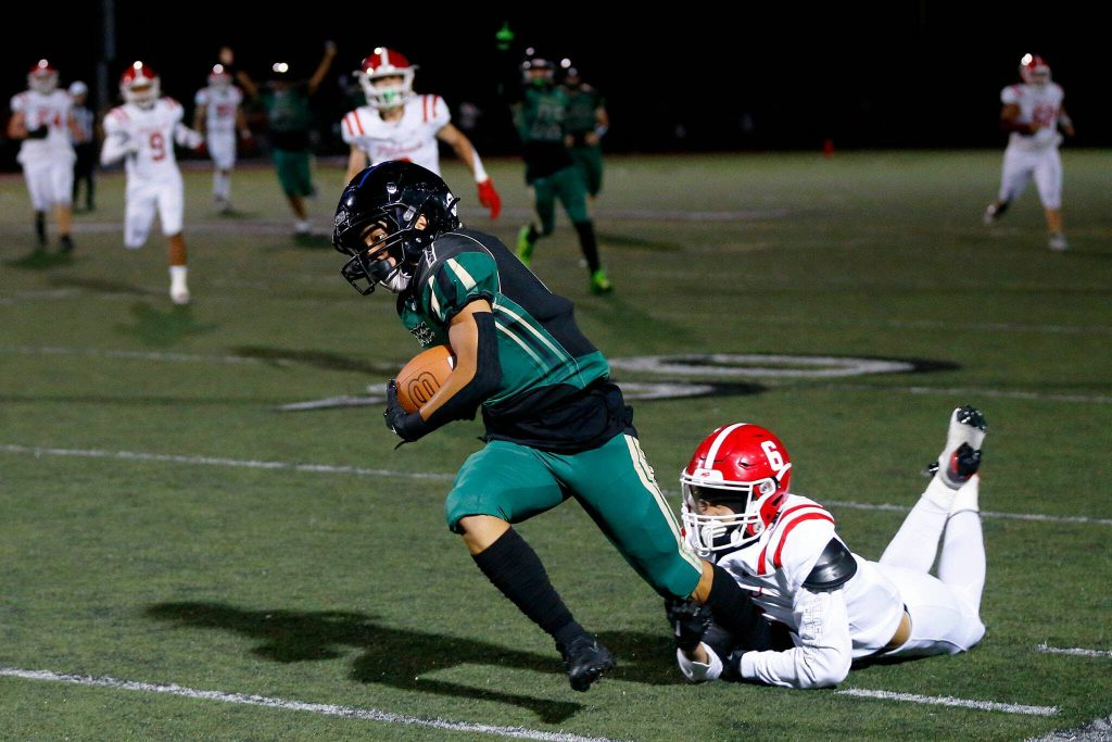 Marysville Getchells Mariano Palacol is tackled by the feet by Pilchucks Theodore Beua during the Berry Bowl on Friday, Sept. 15, 2023, at Quil Ceda Stadium in Marysville, Washington. (Ryan Berry / The Herald)