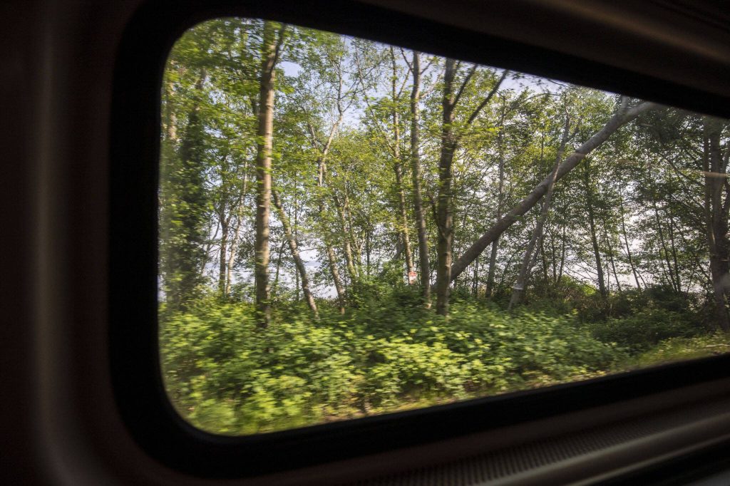 The scenery rushes by as the Amtrak Cascades train makes its way to Portland, Oregon. (Annie Barker / The Herald)
