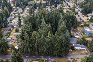 A view of a 6 parcel, 4.4 acre piece of land in Edmonds, south of Edmonds-Woodway High School on Wednesday, Sept. 20, 2023 in Edmonds, Washington. (Olivia Vanni / The Herald)