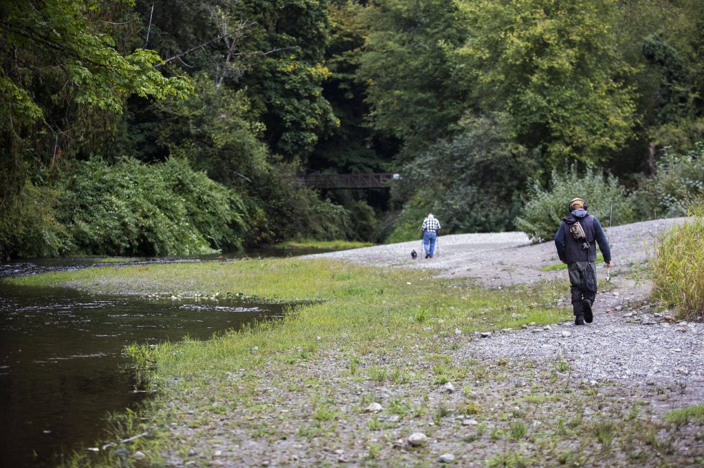 People walk along Woods Creek at Lewis Street Park on Tuesday, Sept. 26, 2023 in Monroe, Washington. (Olivia Vanni / The Herald)