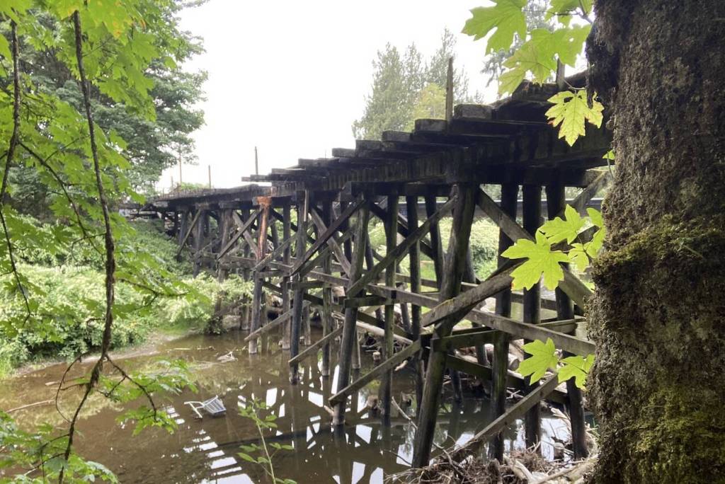 A railroad trestle hovers above Woods Creek before it was removed in early September. (Photo provided by Adopt a Stream Foundation)