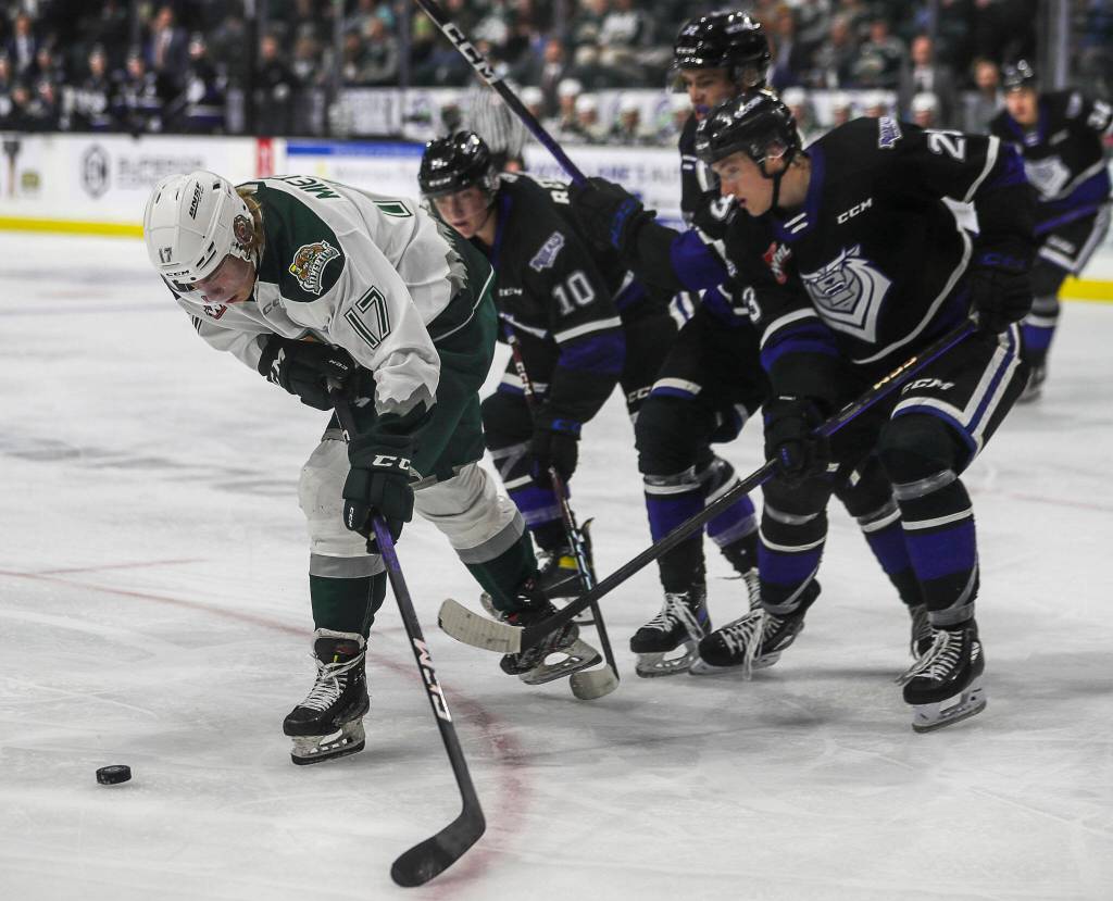 Silvertips’ Julius Miettinen (17) fights for the puck during a game between the Everett Silvertips and Victoria Royals at the Angel of the Winds Arena on Saturday, Sept. 23, 2023. The Silvertips won, 5-3. (Annie Barker / The Herald)