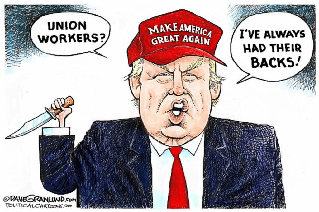 toon