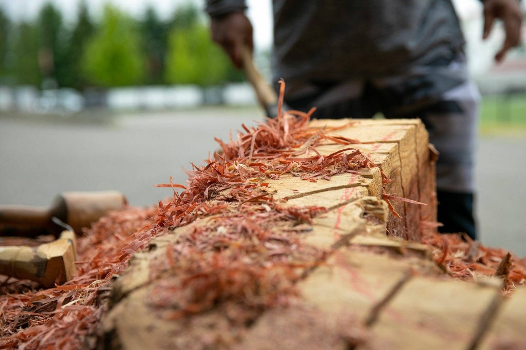 Wood shavings from chainsaw cuts blanket the work-in-process healing pole outside Archbishop Murphy High School. (Ryan Berry / The Herald)