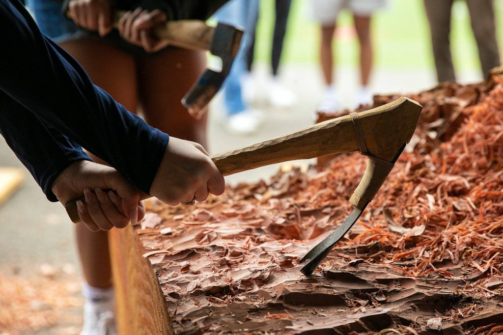 AP U.S. History students from Roger Brodniaks class at Archbishop Murphy High School take turns using adzes and chisels. (Ryan Berry / The Herald)