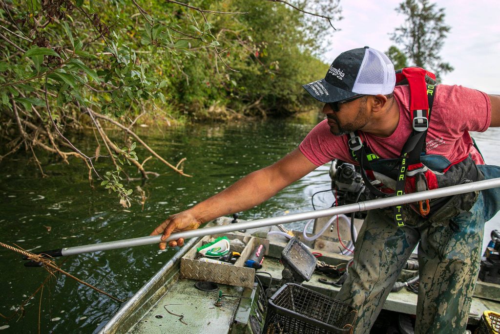 Ithamar Glumac uses a hook to untangle a trap from branches along the shore while crawfishing on the Snohomish River on Tuesday, Sept. 19, 2023, near Snohomish, Washington. The tide can cause traps to get tangled or disappear completely. (Ryan Berry / The Herald)