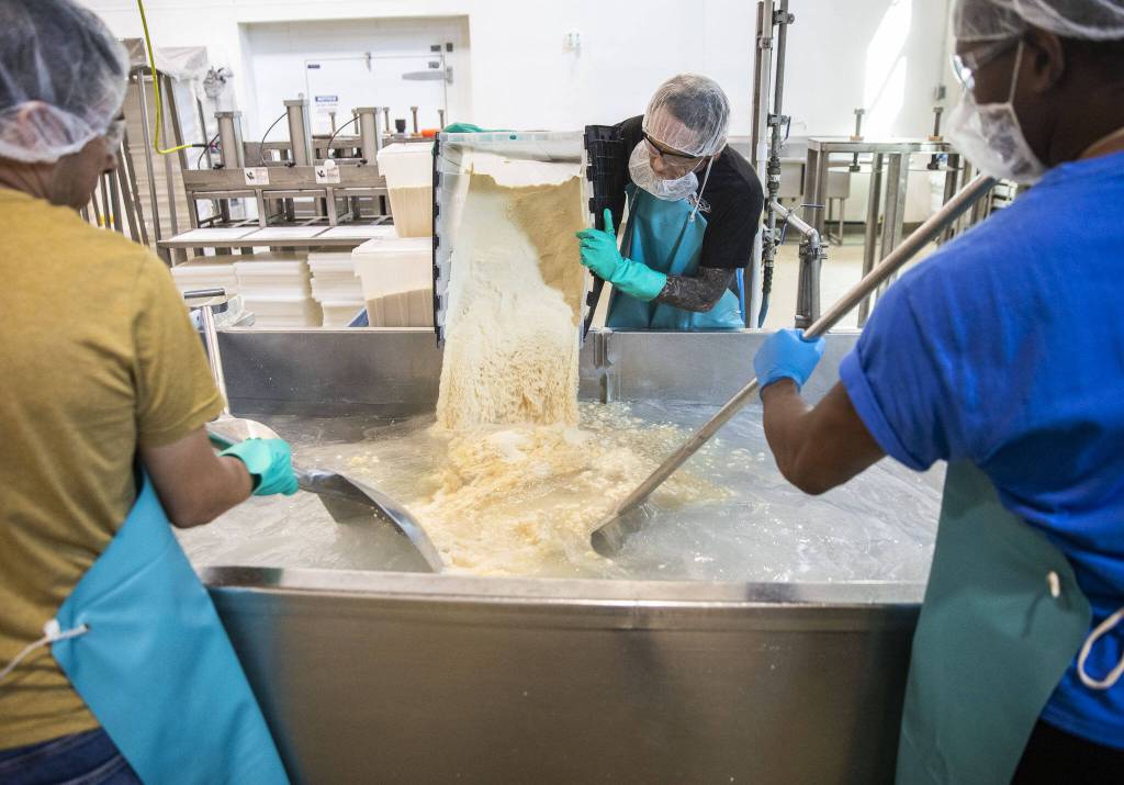 Matthew Nakken, center, pours a cheese powder into hot water to begin the process of making a cheese mixture for chews at Himalayan Dog Chew on Thursday, Sept. 21, 2023 in Arlington, Washington. (Olivia Vanni / The Herald)