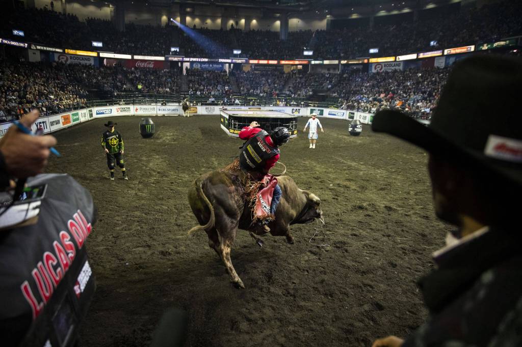 Silvano Alves rides his bull into the arena as the chute opens during the PBR Everett Invitational at Angel of the Winds Arena on Wednesday, April 6, 2022 in Everett, Washington. (Olivia Vanni / The Herald)