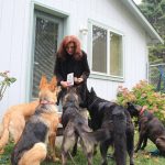 Renee Carrs foster dogs wait patiently for a snack. (Luisa Loi / Whidbey News-Times)