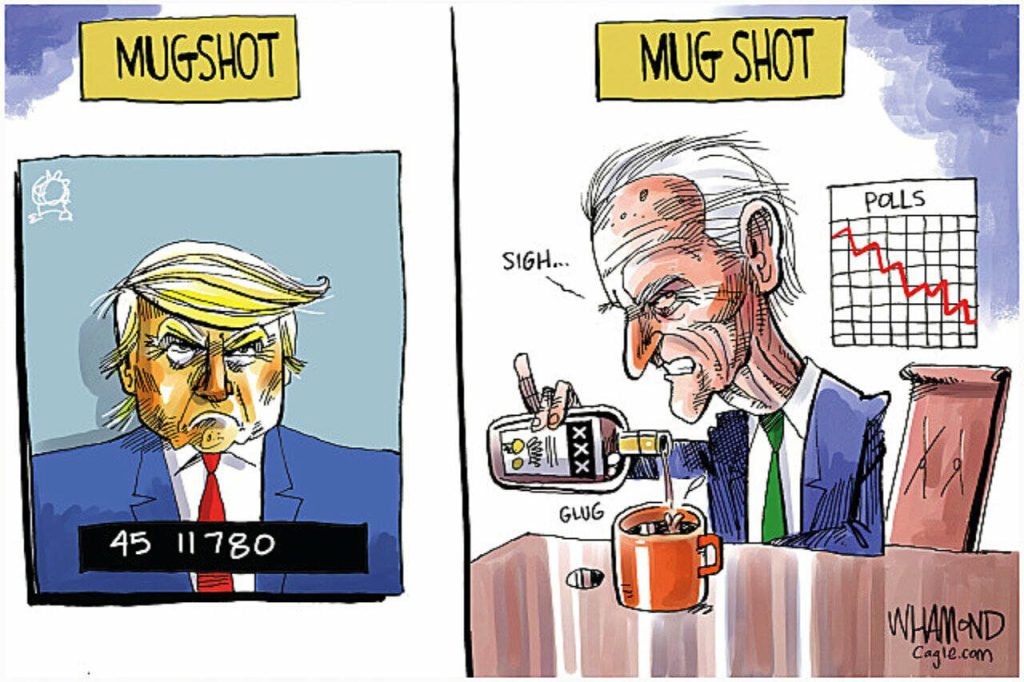 toon