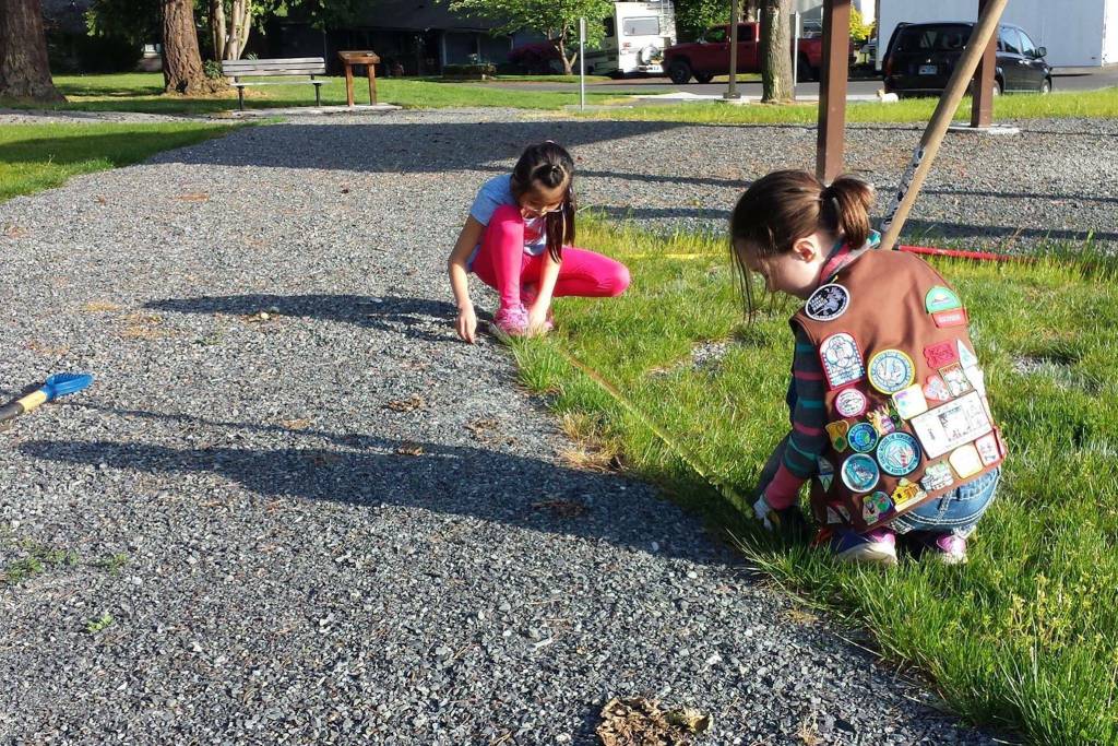 Members of Girl Scout Troop 43752 extends the path around Matt Hirvela Bicentennial in 2016. (Photo provided by the City of Mountlake Terrace)