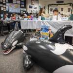 Fourth and fifth graders from Hazelwood Elementary School sit in class and learn about orcas on Thursday, Oct. 12, 2023 in Lynnwood, Washington. (Olivia Vanni / The Herald)