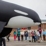 Fourth and fifth graders from Hazelwood Elementary School participate in an orca parade at their school on Thursday, Oct. 12, 2023, in Lynnwood, Washington. (Olivia Vanni / The Herald)