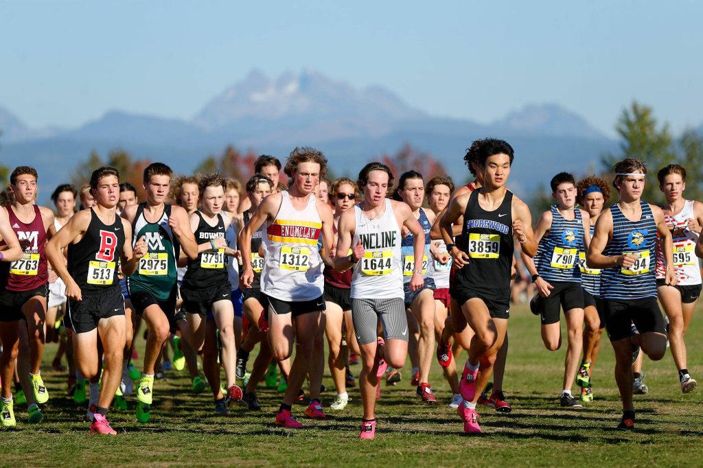 The Mens Elite race kicks off during the Hole in the Wall Cross Country Invitational on Saturday, Oct. 7, 2023, at Lakewood High School in Arlington, Washington. (Ryan Berry / The Herald)
