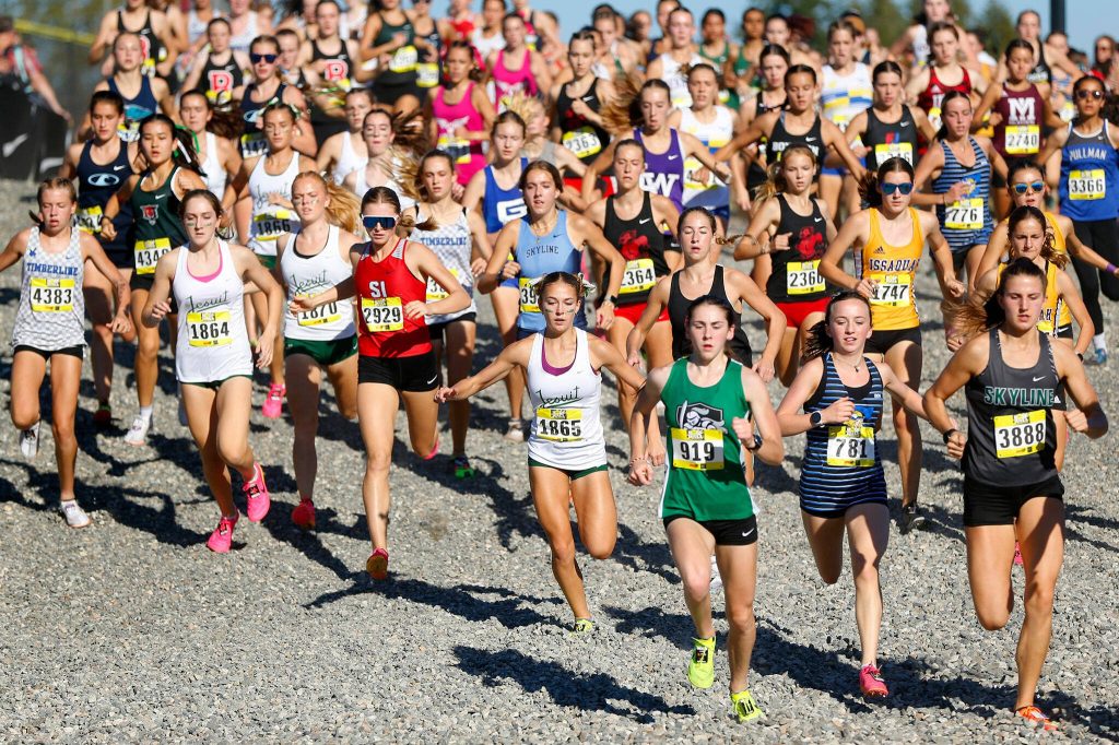 The Womens Elite run gets underway during the Hole in the Wall Cross Country Invitational on Saturday, Oct. 7, 2023, at Lakewood High School in Arlington, Washington. (Ryan Berry / The Herald)