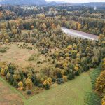 One of the Stillaguamish Tribe’s salmon habitat restoration projects off of Moran Road on Monday, Oct. 16, 2023 in Arlington, Washington. (Olivia Vanni / The Herald)