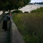 A birder watches waterfowl with a pair of binoculars at the Edmonds Marsh on Tuesday, Sept. 19, 2023, in Edmonds, Washington. (Ryan Berry / The Herald)
