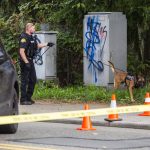 A K-9 is used at the suspected scene of a shooting to track a potential suspect that was reported by witnesses to have fled on foot on Friday, Oct. 13, 2023 in Everett, Washington. (Olivia Vanni / The Herald)