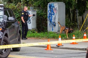 A K-9 is used at the suspected scene of a shooting to track a potential suspect that was reported by witnesses to have fled on foot on Friday, Oct. 13, 2023 in Everett, Washington. (Olivia Vanni / The Herald)