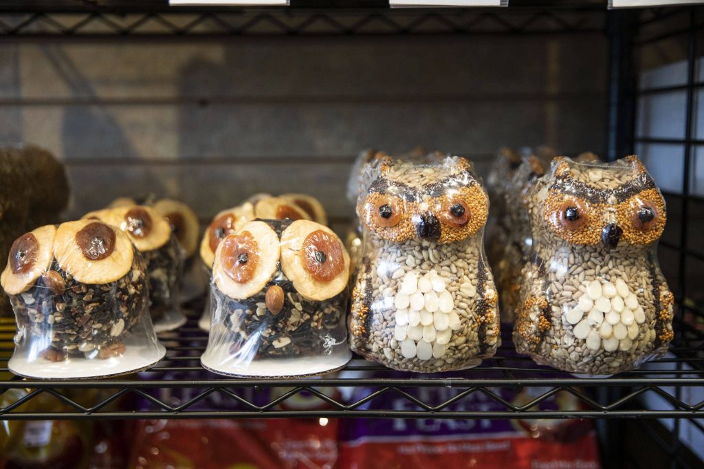 Small bird seed figures in the shape of owls available at Wild Birds Unlimited on Monday, Oct. 23, 2023 in Everett, Washington. (Olivia Vanni / The Herald)